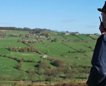 Fields of vision Fields of Vision