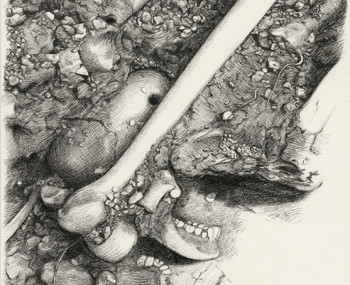 Memoria Histórica Memoria Histórica