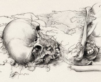 Memoria Histórica Memoria Histórica