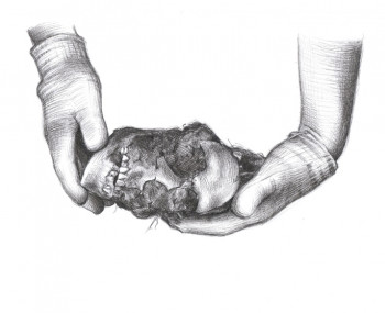 Memoria Histórica Memoria Histórica