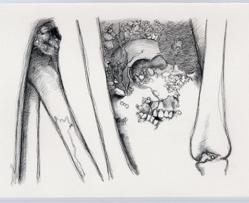 Memoria Histórica Memoria Histórica