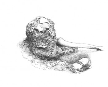 Memoria Histórica Memoria Histórica