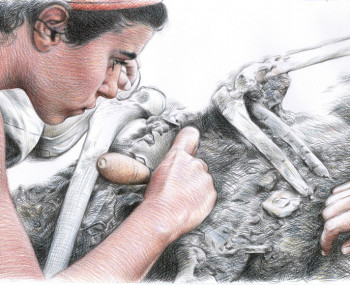 Memoria Histórica Memoria Histórica