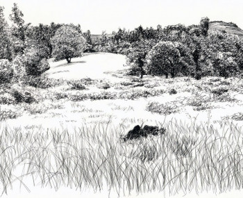 Memoria Histórica Memoria Histórica